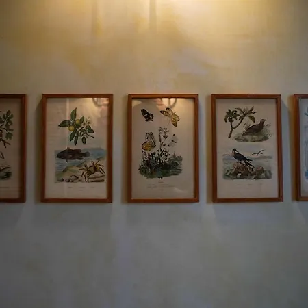 בית חווה Parco Di Montebello *